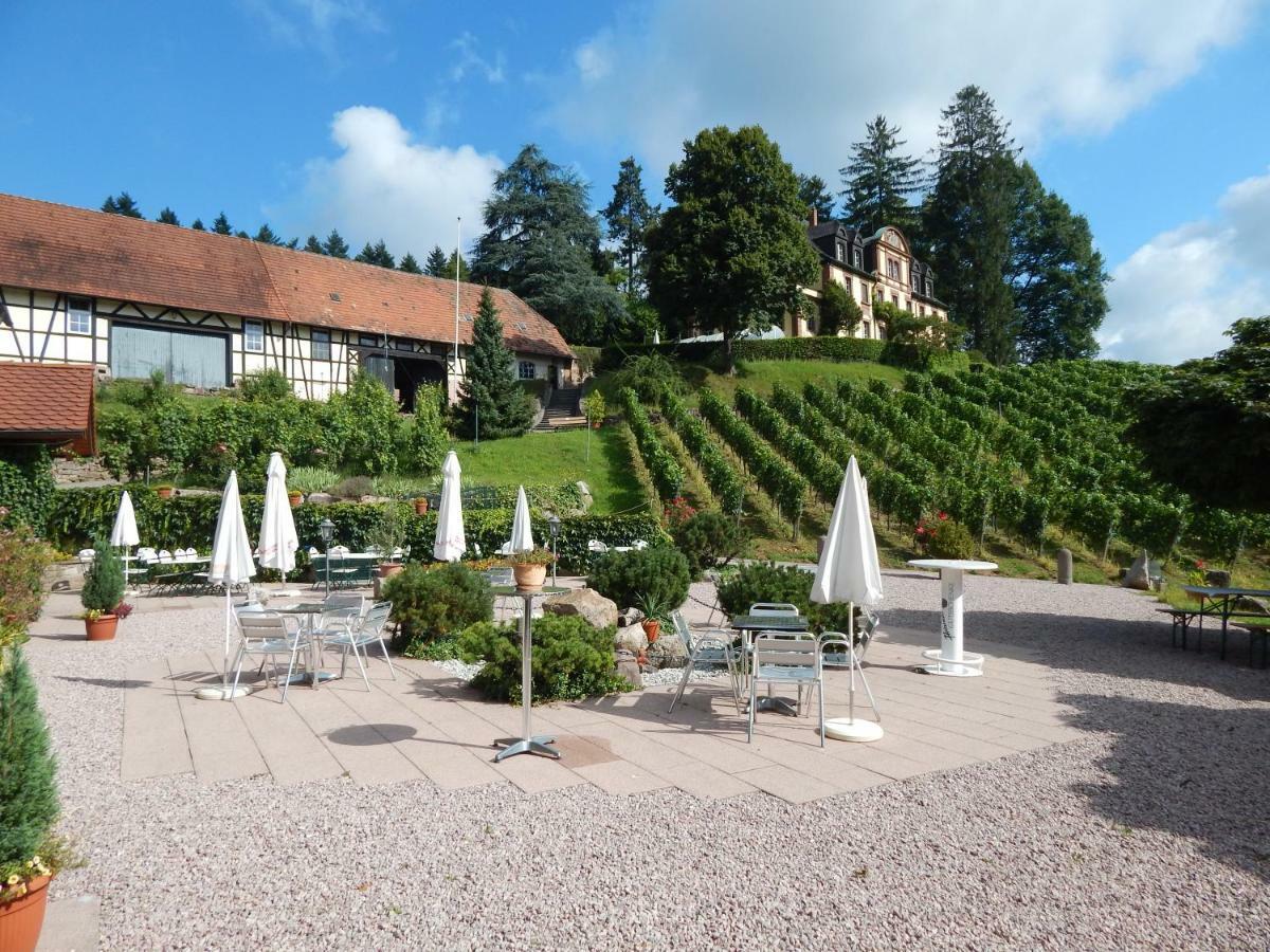 Wein Lodge Durbach - Schlossblick Exterior foto